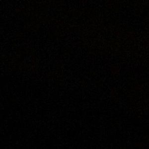 Meet your Posher, Callie